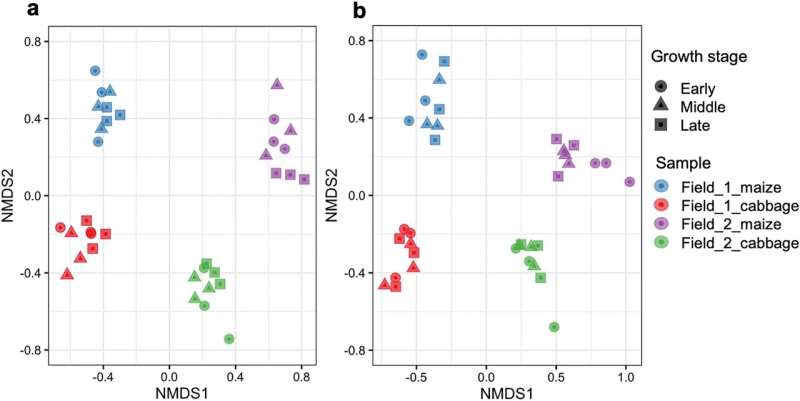 Changes in soil organisms in crop rotation farmland accessed by DNA me<em></em>tabarcoding